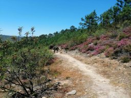 2021-06-05 e 6 FORMEX 1